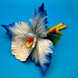 Signed Capodimonte Porcelain Orchid Flower – S. Piscitelli – Italy – Handcrafted